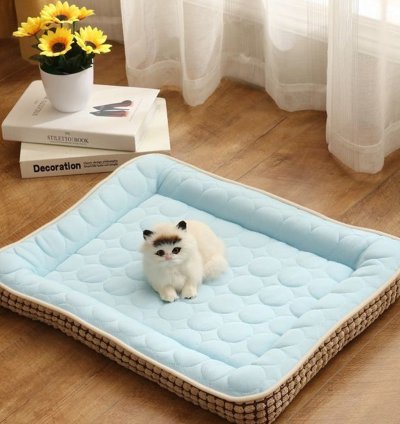 Cat Bed for Indoor Cats – 2-in-1 Cat Cave with Hanging Teaser Toy, Play and Sleep Pet Bed for Cats & Small Dogs (1 Pc)